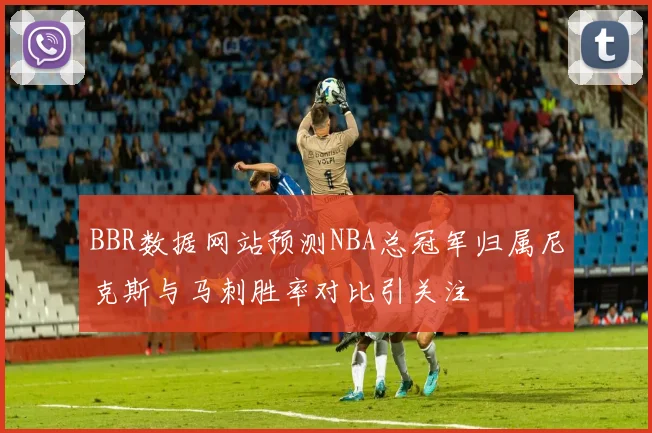 BBR数据网站预测NBA总冠军归属尼克斯与马刺胜率对比引关注