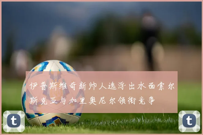 伊普斯维奇新帅人选浮出水面索尔斯克亚与加里奥尼尔领衔竞争